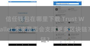 信任钱包在哪里下载 Trust Wallet 未来是否会支撑更多区块链？