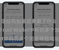 信任钱包最近更新了什么 如安在Trust Wallet中科罚多个加密钱包地址？