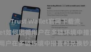 Trust Wallet官网下载流程 Trust Wallet如何因循用户在多链环境中措置和兑换钞票？