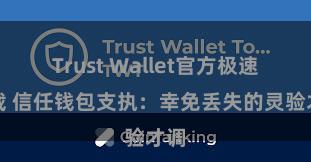 Trust Wallet官方极速下载 信任钱包支执：幸免丢失的灵验才调