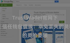 Trust Wallet官网下载流程 信任钱包提拔：幸免丢失的灵验要领